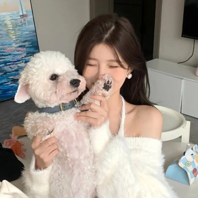 火舞风云
